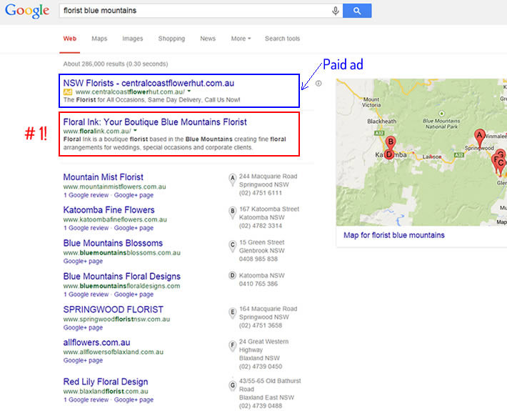 blue-mountains-flowers #1 ranking for many keywords